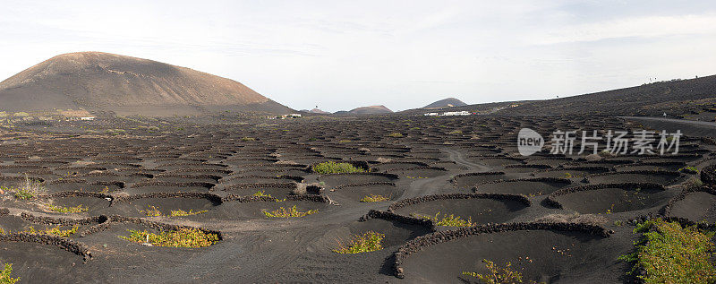 La Geria (2)， Lanzarote